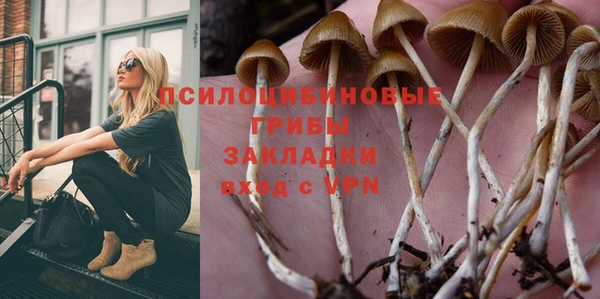 герыч Алзамай